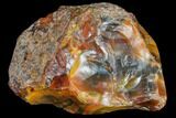 Polished Condor Agate From Argentina - Curved Cut Face #79623-1